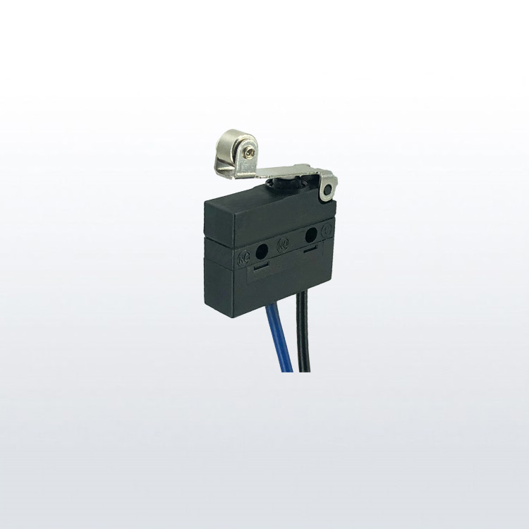sealed micro switch for lever