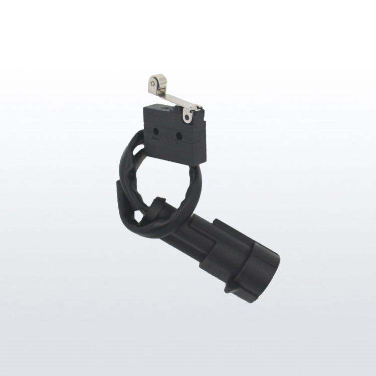 sealed micro switch with connector