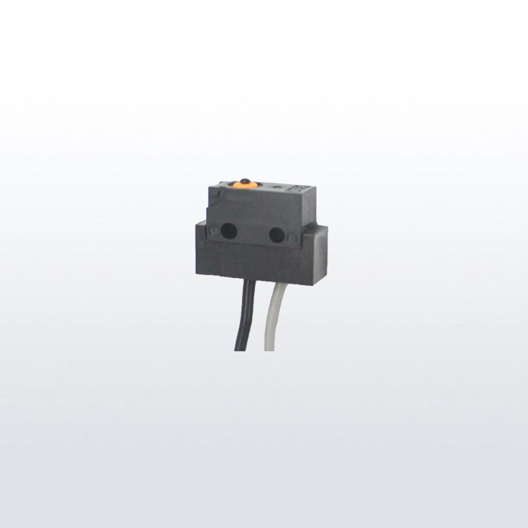 sealed micro switch