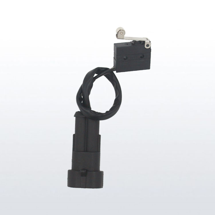 sealed snap action switch with connector