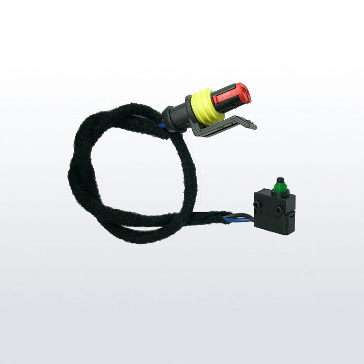 push button micro switch IP67